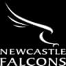 Newcastle Falcons logo