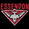 Essendon logo